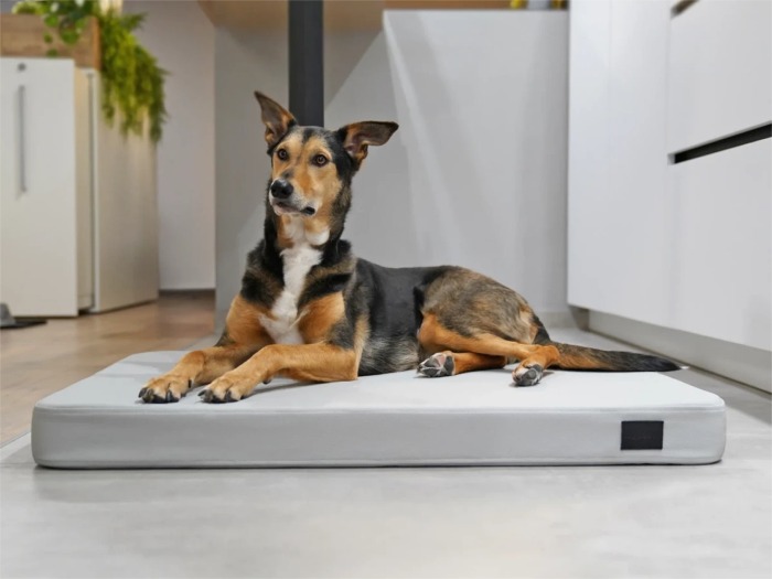 Lana Kunstleder Premium Hundematte
