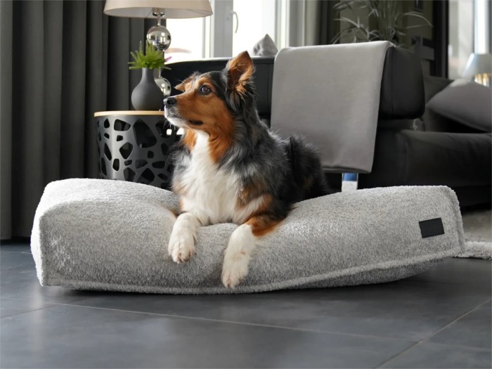 Dute Bouclé Hundekissen