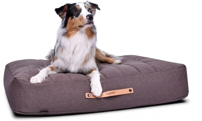 Stockholm Mono Hundekissen