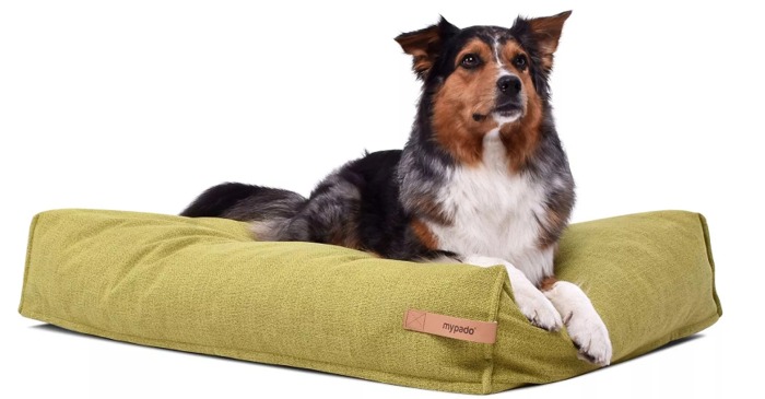 Dute Structure Hundekissen