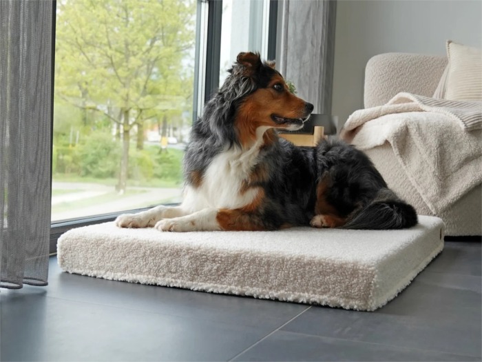Solana Woolly Hundematte