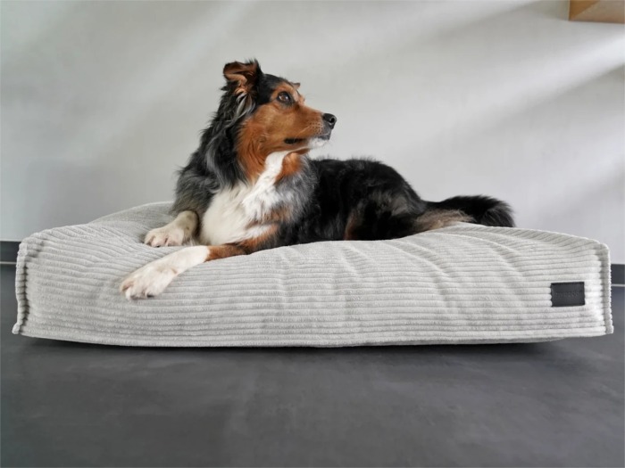 Dute Cord Hundekissen