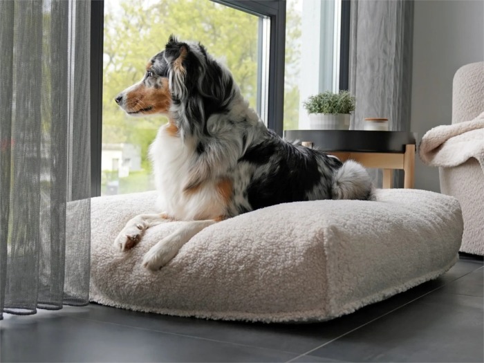 Dute Woolly Hundekissen