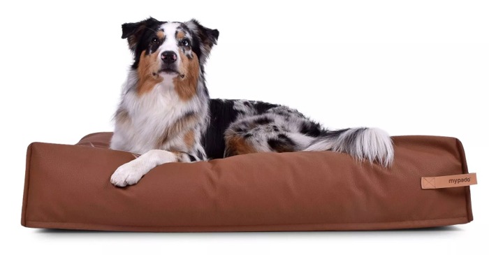 Dute Kunstleder-Premium Hundekissen