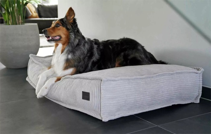 Flow Cord Hundekissen