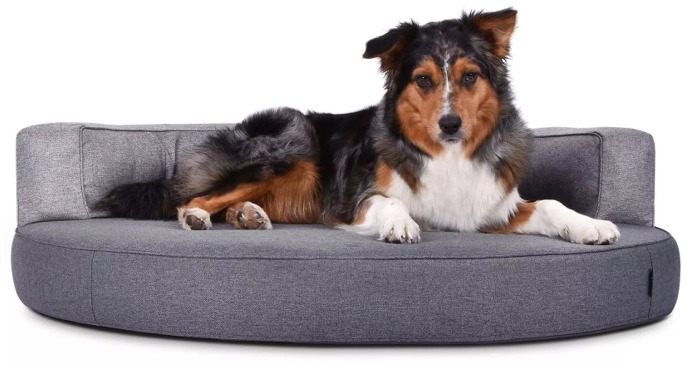 Atlanta Structure Hundebett