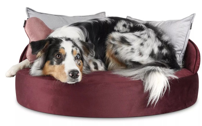 Island Velvet Hundebett 