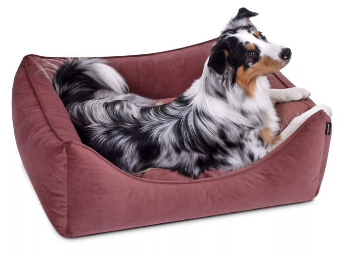 Dreamer MF Hundebett