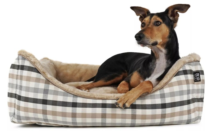 Dreamer Checks Hundebett