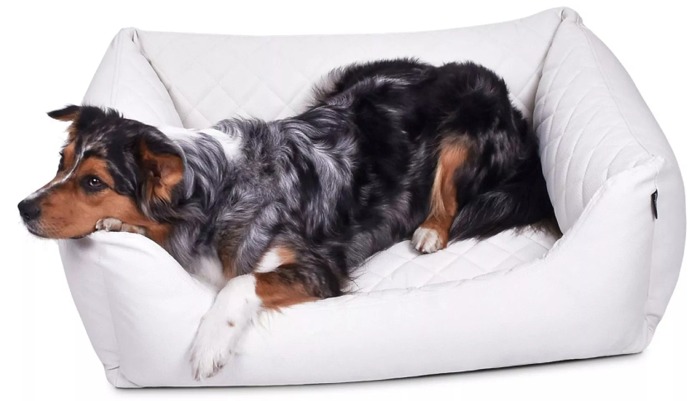 World Kunstleder-Premium gesteppt Hundebett