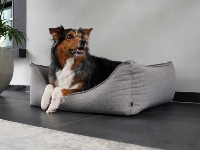 Dreamer Structure Hundebett