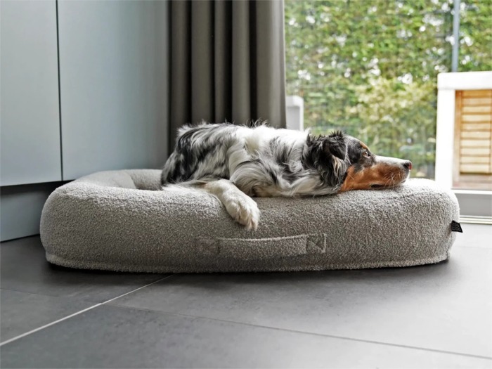 mypado Loui Teddy Hundebett