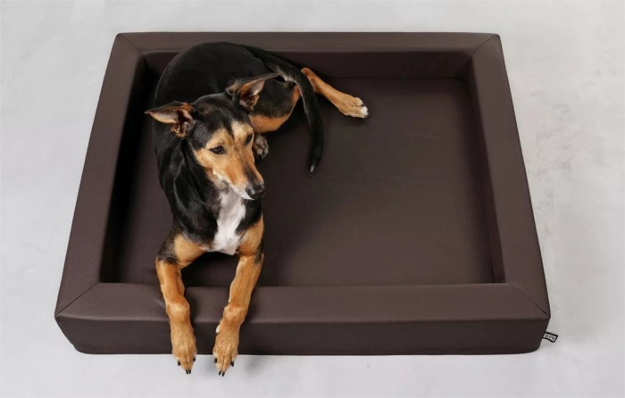 mypado Harko Kunstleder - Premium Hundebett