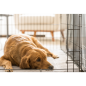 Preview: Hunde Transportbox -  61x42x49 cm  - 1 Türe - PVC-Schublade