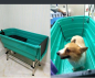 Preview: Hundebadewanne - Kunststoff - Duschkabine - 60x124x90 cm