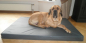 Preview: Orthopädisches Hundekissen - Kunstleder - anthrazit - div. Größen