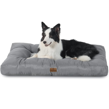 Ökologisches Hundekissen - Recyclingmaterial - Bezug wasserdicht - div. Größen + Farben