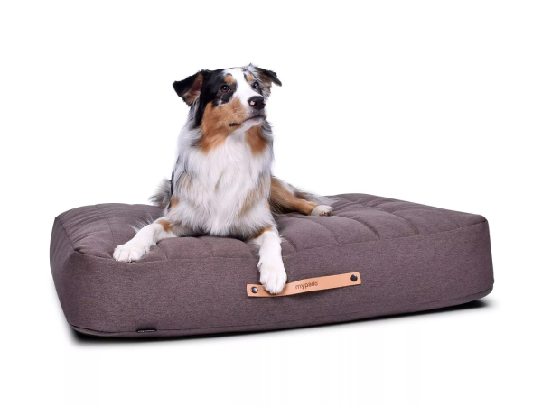 Stockholm Mono Hundekissen