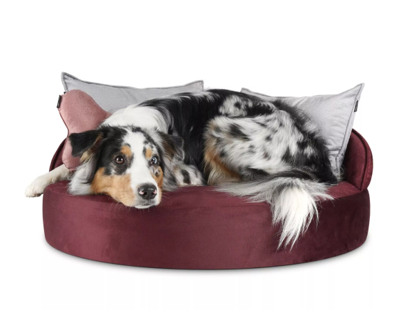 Island Velvet Hundebett - div. Farben + Größen