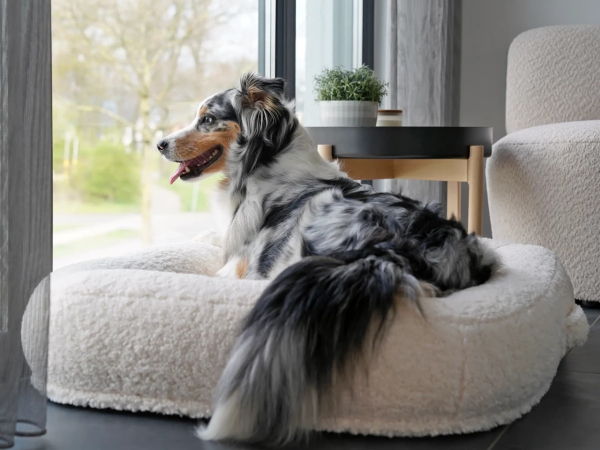 Loui Woolly Hundebett - div. Farben + Größen