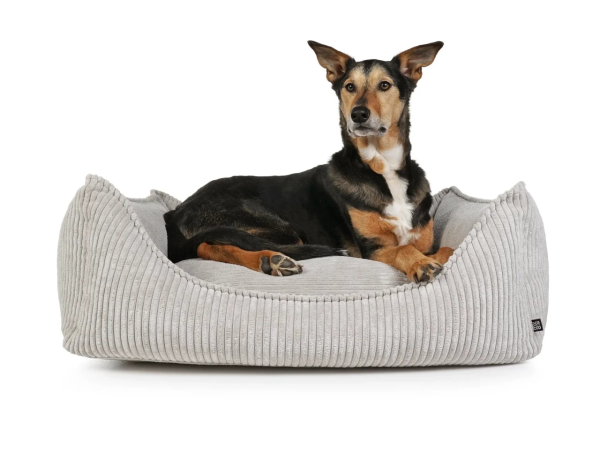 Dreamer Cord Hundebett - div. Farben + Größen