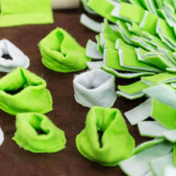 Intelligenzschnüffelmatte 80x80 cm